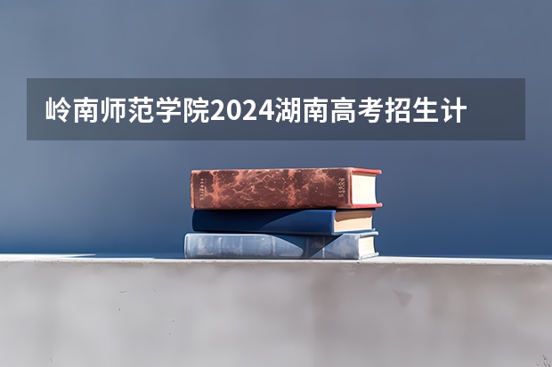 岭南师范学院2024湖南高考招生计划详解