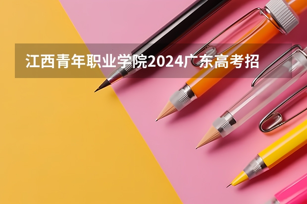 江西青年职业学院2024广东高考招生计划详解