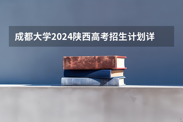 成都大学2024陕西高考招生计划详解