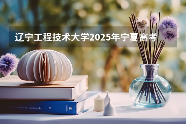 辽宁工程技术大学2025年宁夏高考招生计划预测