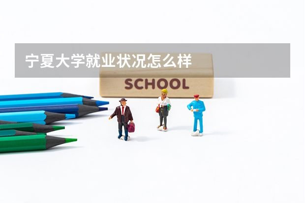 宁夏大学就业状况怎么样 