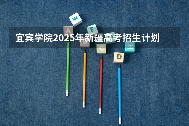 宜宾学院2025年新疆高考招生计划预测