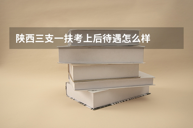 陕西三支一扶考上后待遇怎么样