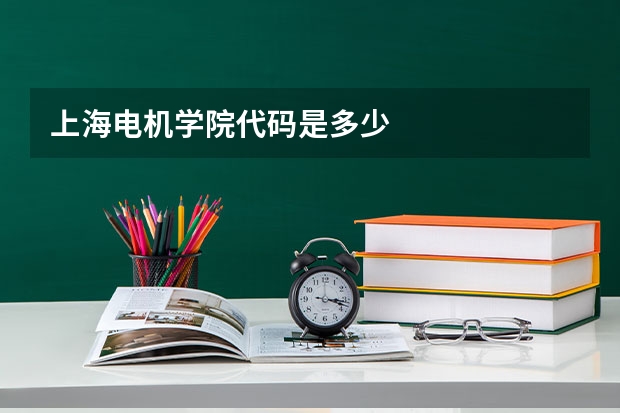 上海电机学院代码是多少