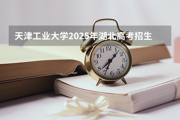 天津工业大学2025年湖北高考招生计划预测