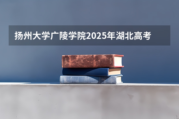 扬州大学广陵学院2025年湖北高考招生计划预测