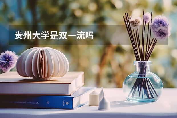贵州大学是双一流吗
