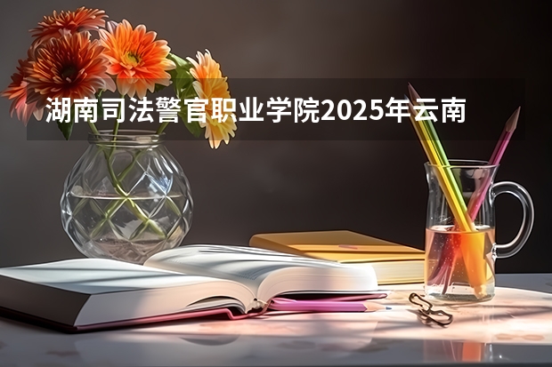 湖南司法警官职业学院2025年云南高考招生计划预测