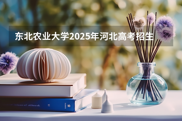 东北农业大学2025年河北高考招生计划预测