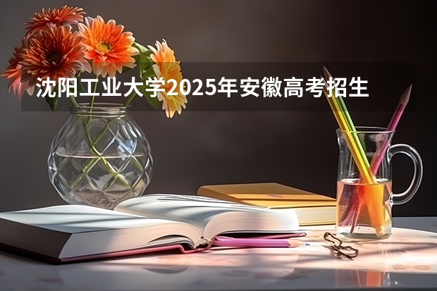 沈阳工业大学2025年安徽高考招生计划预测