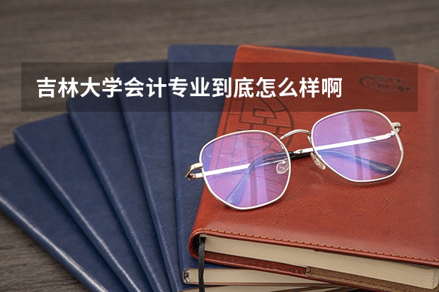 吉林大学会计专业到底怎么样啊