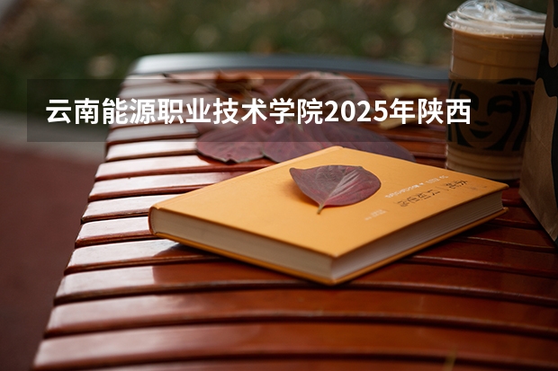 云南能源职业技术学院2025年陕西高考招生计划预测