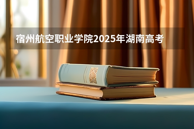 宿州航空职业学院2025年湖南高考招生计划预测
