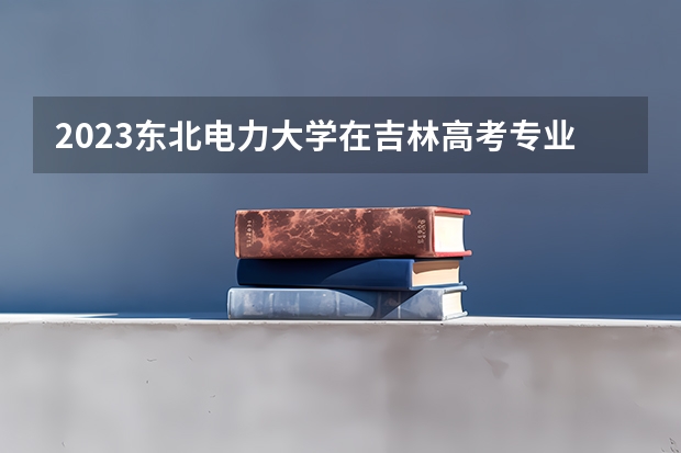 2023东北电力大学在吉林高考专业招生计划人数