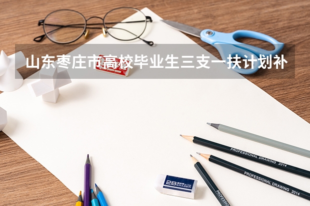 山东枣庄市高校毕业生三支一扶计划补充公告（山东省济南市考公务员的基本要求）