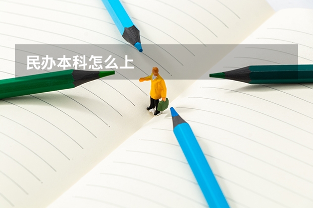 民办本科怎么上