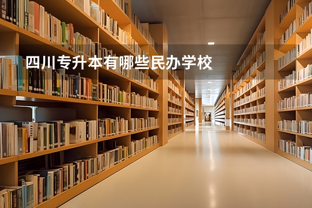 四川专升本有哪些民办学校