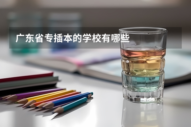 广东省专插本的学校有哪些