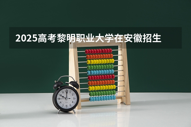 2025高考黎明职业大学在安徽招生计划是什么（2026参考）
