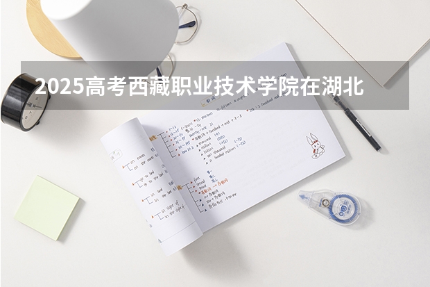 2025高考西藏职业技术学院在湖北招生计划是什么（2026参考）
