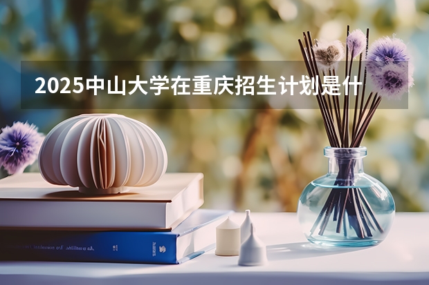 2025中山大学在重庆招生计划是什么（2026参考）