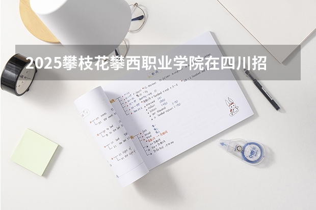 2025攀枝花攀西职业学院在四川招生计划是什么（2026参考）