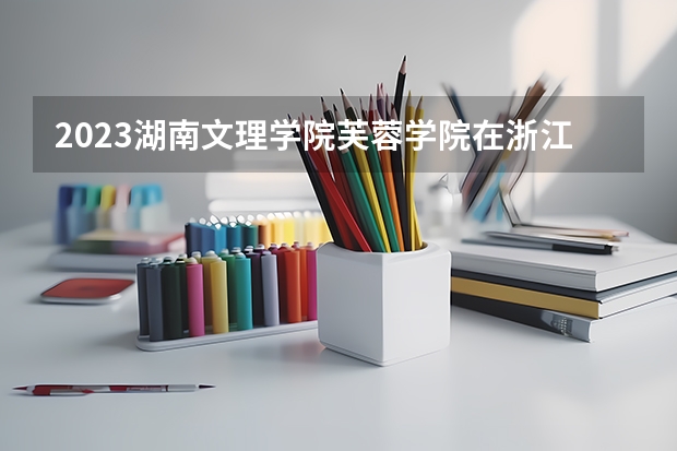 2023湖南文理学院芙蓉学院在浙江高考专业招生计划人数