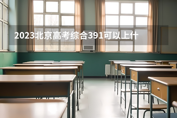 2023北京高考综合391可以上什么大学
