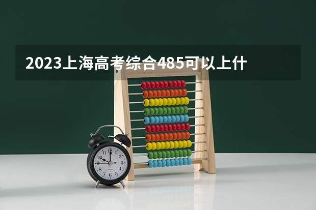 2023上海高考综合485可以上什么大学