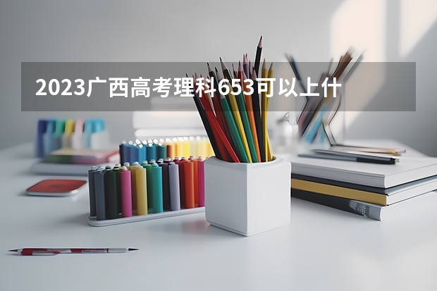 2023广西高考理科653可以上什么大学