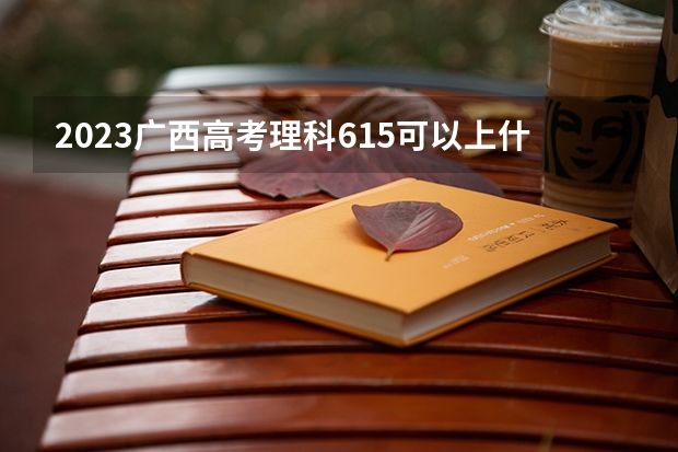 2023广西高考理科615可以上什么大学