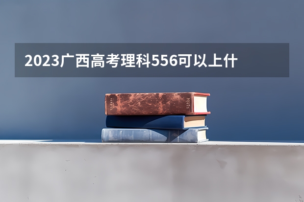 2023广西高考理科556可以上什么大学