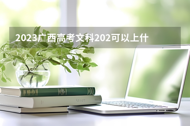 2023广西高考文科202可以上什么大学