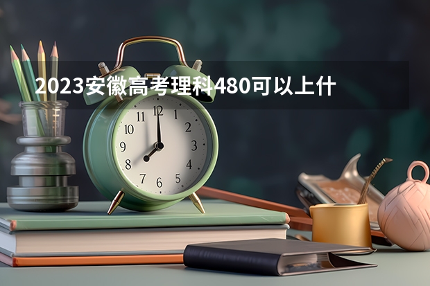 2023安徽高考理科480可以上什么大学
