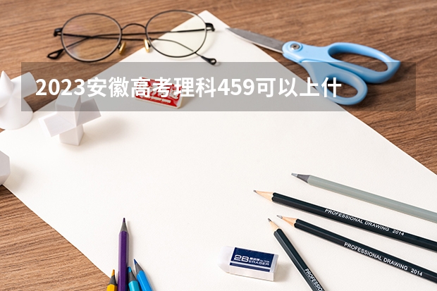 2023安徽高考理科459可以上什么大学