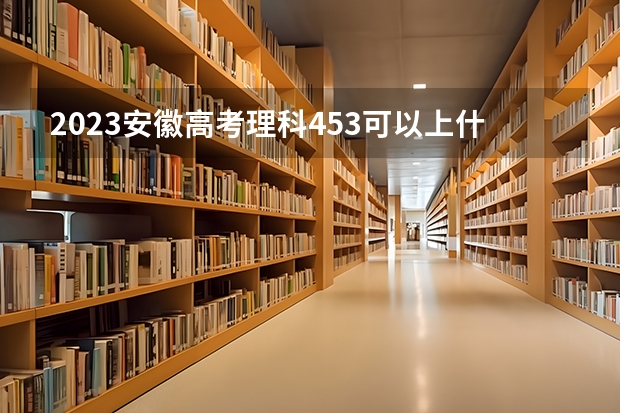 2023安徽高考理科453可以上什么大学