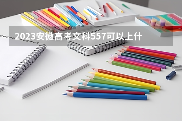 2023安徽高考文科557可以上什么大学