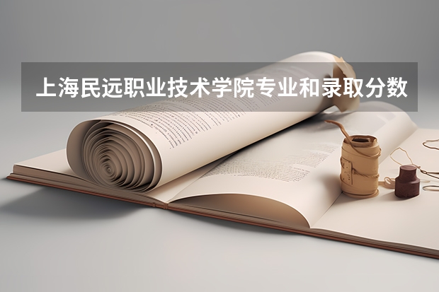 上海民远职业技术学院专业和录取分数线是多少