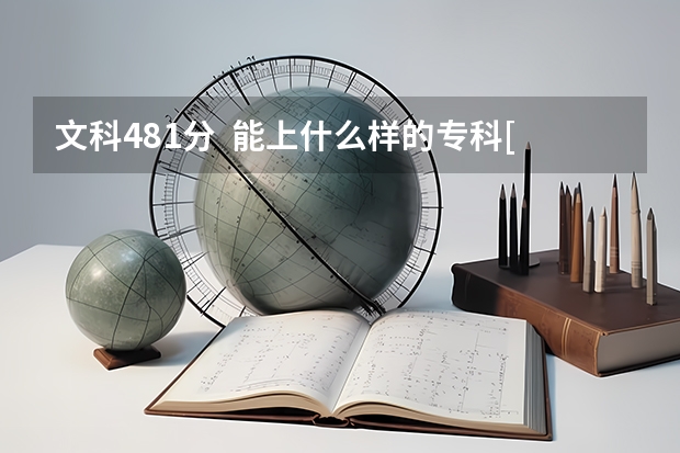 文科481分  能上什么样的专科[山东]