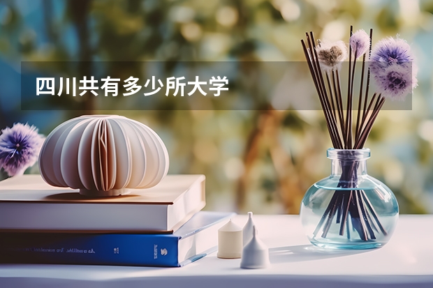 四川共有多少所大学