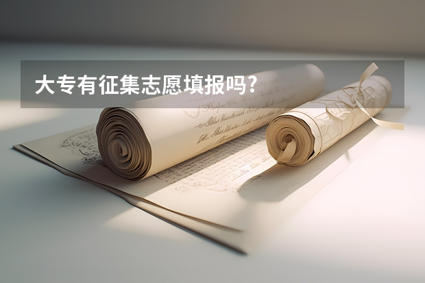 大专有征集志愿填报吗?