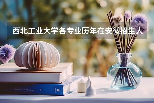 西北工业大学各专业历年在安徽招生人数