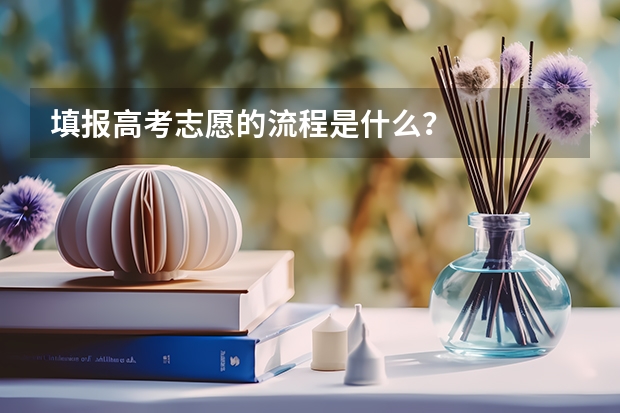 填报高考志愿的流程是什么？