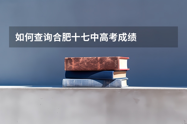 如何查询合肥十七中高考成绩