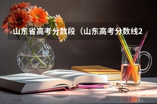 山东省高考分数段（山东高考分数线2023年一分一段表）