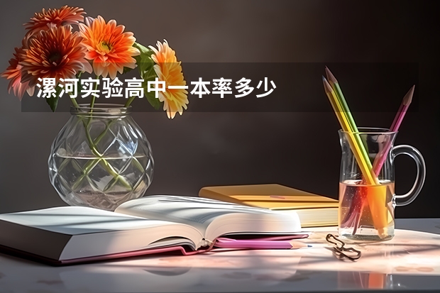 漯河实验高中一本率多少