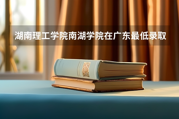 湖南理工学院南湖学院在广东最低录取分数线（2024高考参考）