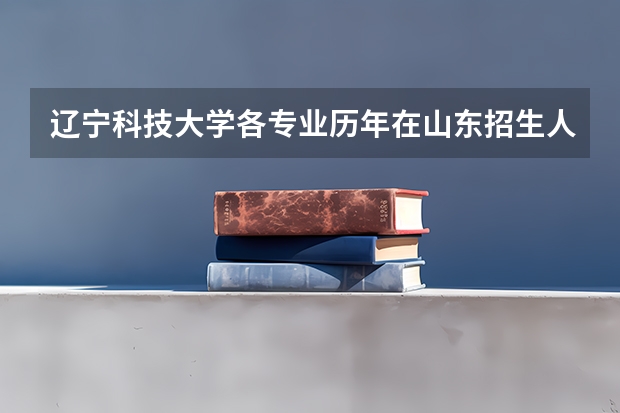 辽宁科技大学各专业历年在山东招生人数