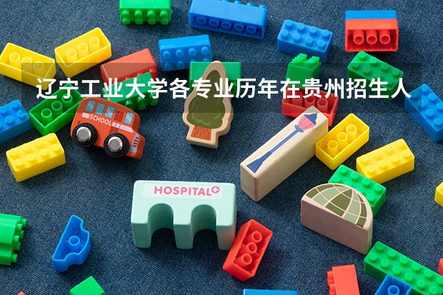 辽宁工业大学各专业历年在贵州招生人数