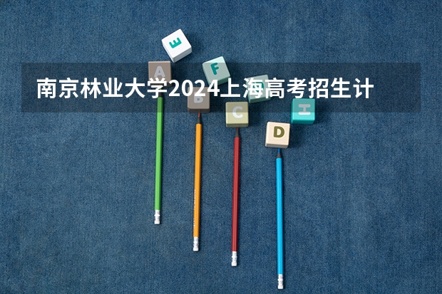 南京林业大学2024上海高考招生计划详解